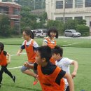 투혼복싱킥복싱 이미지