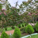 우드볼장 이미지