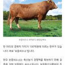 와우한우농장 이미지