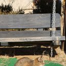 동강펜션해오름 이미지