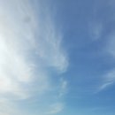 꽃지 팰리스 이미지