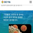 (주)씨지씨 - 금정구 | (주)씨지씨