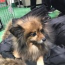 비산119안전센터 이미지