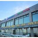 바다바라기 이미지