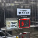 미파문피부과의원 네이버블로그