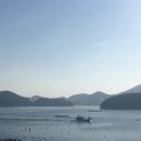 통영해수랜드 이미지