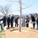 보리수마을 이미지