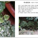 초가정원