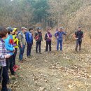 청솔카포스 이미지