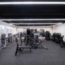 바디짐헬스 이미지