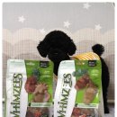 삼 덴탈 이미지