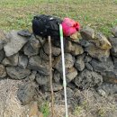 김작가님 자극에, 제주충동여행,,, ㅋㅋ 이미지