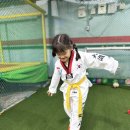 대호태권도체육관 이미지