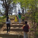 고인돌 역사공원 이미지