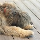 고창민박 톡톡 이미지