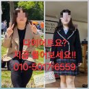 미르핏