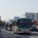 대명교통(마을버스) 이미지