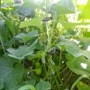 재경농장 이미지