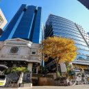 호텔 스카이파크 센트럴 명동점 이미지