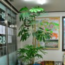 캐스빌공인중개사사무소 이미지