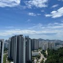 더베스트공인중개사사무소 이미지