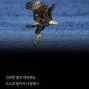 너라는선물