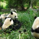 성도농장 이미지