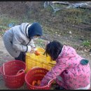 연흥농장 이미지