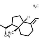 비타민휘트니스 4호점 이미지