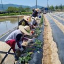 충의농장 이미지