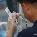 꼬리 노래연습장 이미지