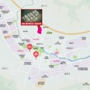 정관5로 이미지