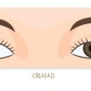 지경민안경원 이미지