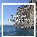 제주갈매기 | 3월 제주 아이와 가볼만한곳 | 서귀포 유람선 갈매기 체험 후기 (제주투어패스 사용 , 유람선 꿀팁)