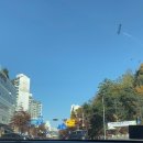 종갓집 칼국수 이미지