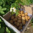 내동 행정복지센터 이미지