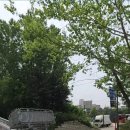 가재울공영주차장 이미지