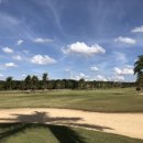 다마클럽 이미지