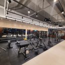 브리티시 클럽 이미지