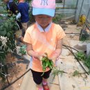 마한농장 이미지