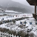 무릉도원후도인성학교 이미지