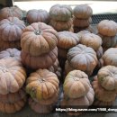 동양건강원 이미지