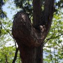 하동미라클 청소년야영장 이미지