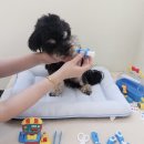 멍더가든 이미지