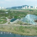 세종중앙공원 풋살장 네이버블로그