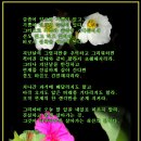 악도 Daum카페
