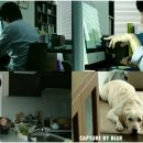 마이도그(My Dog) 이미지