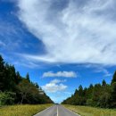 표선 교차로 4 이미지