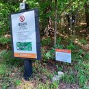 강호민박 이미지