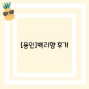 [용인]백리향 후기
